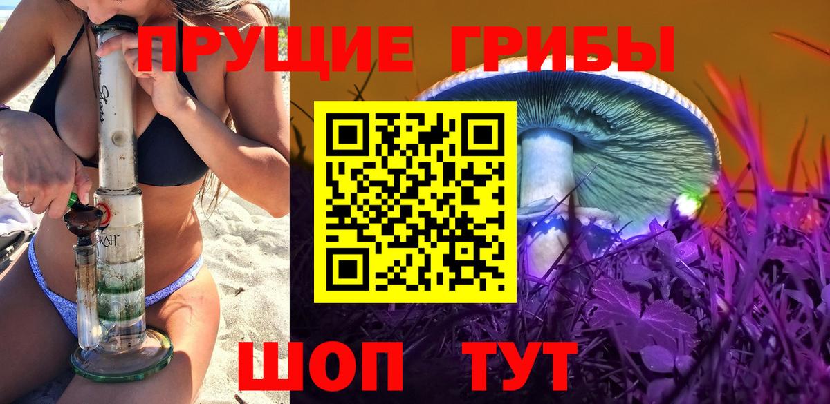 Галлюциногенные грибы Magic Shrooms Каспийск