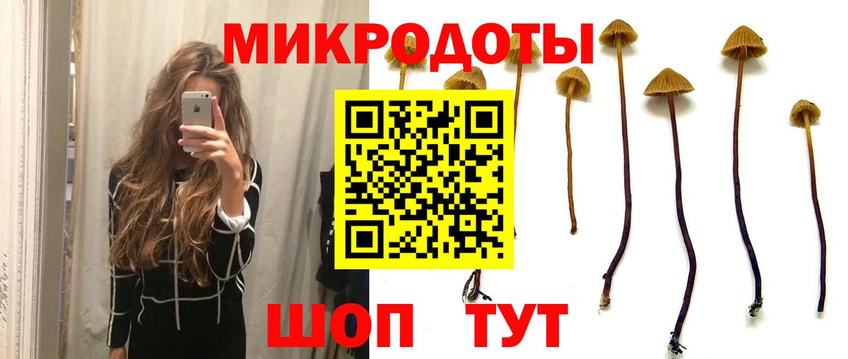 Галлюциногенные грибы Magic Shrooms  Псилоцибиновые грибы Psilocybe  купить  цена  Вход с VPN  Каспийск 