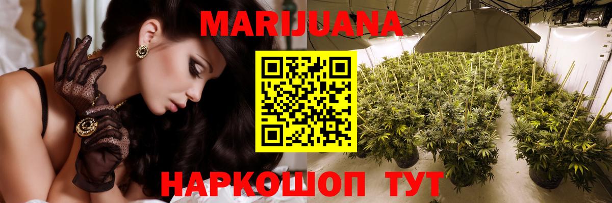 Конопля AK-47  Вход с VPN  Каспийск  МАРИХУАНА план 